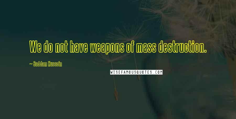 Saddam Hussein Quotes: We do not have weapons of mass destruction.