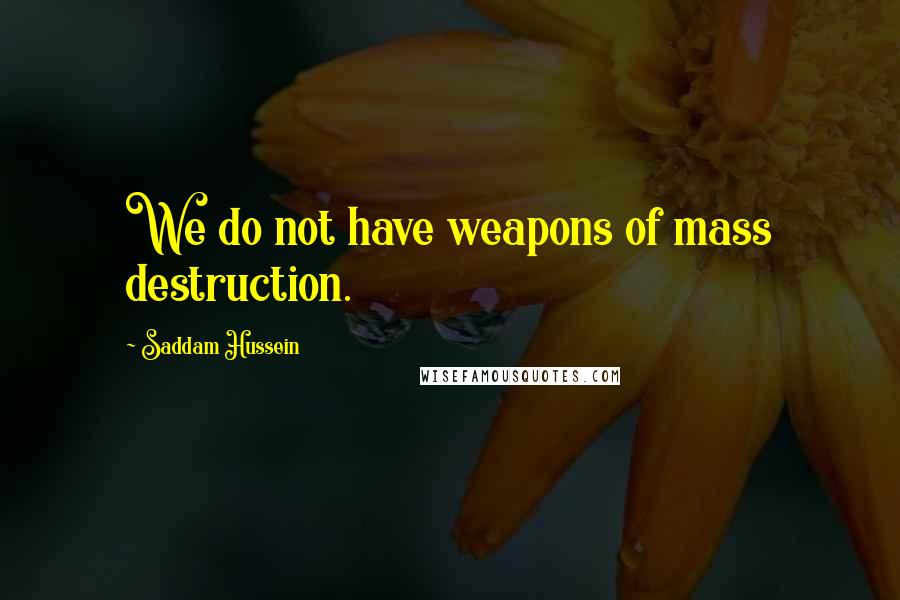 Saddam Hussein Quotes: We do not have weapons of mass destruction.