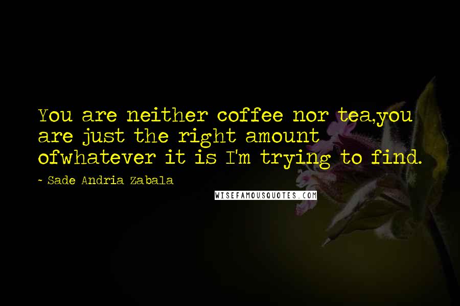 Sade Andria Zabala Quotes: You are neither coffee nor tea,you are just the right amount ofwhatever it is I'm trying to find.