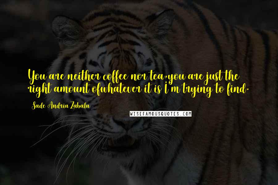 Sade Andria Zabala Quotes: You are neither coffee nor tea,you are just the right amount ofwhatever it is I'm trying to find.