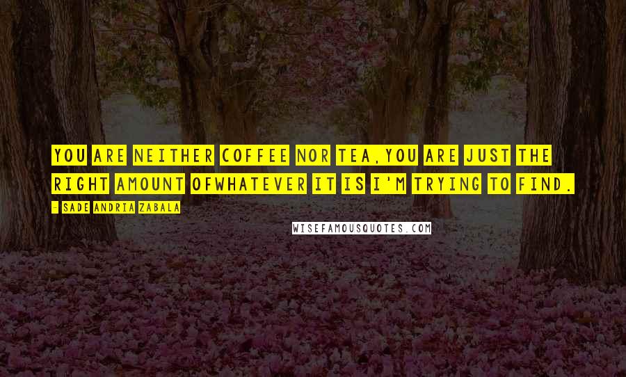 Sade Andria Zabala Quotes: You are neither coffee nor tea,you are just the right amount ofwhatever it is I'm trying to find.
