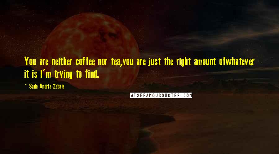 Sade Andria Zabala Quotes: You are neither coffee nor tea,you are just the right amount ofwhatever it is I'm trying to find.