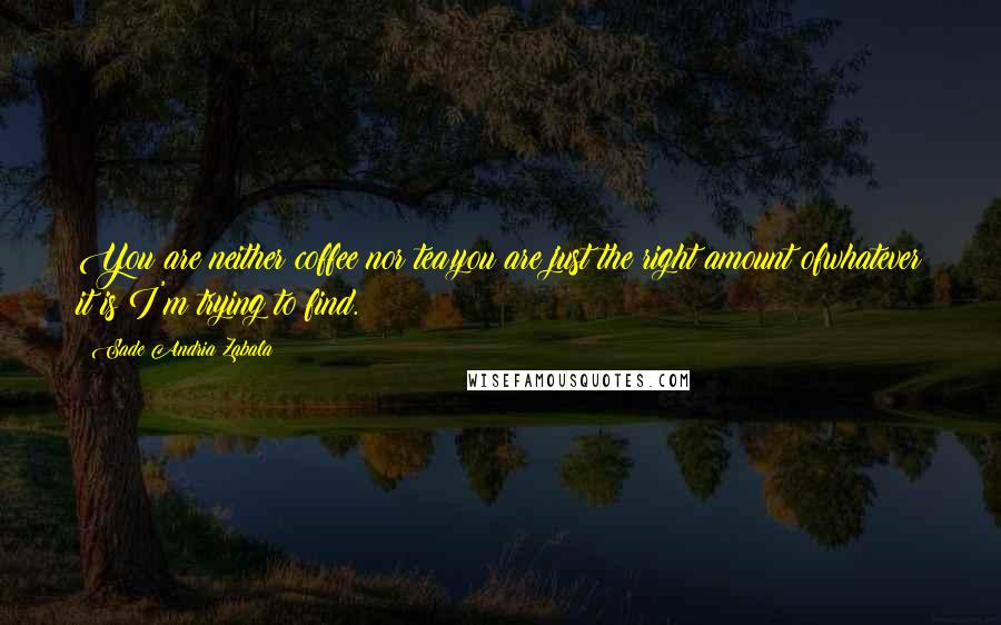 Sade Andria Zabala Quotes: You are neither coffee nor tea,you are just the right amount ofwhatever it is I'm trying to find.