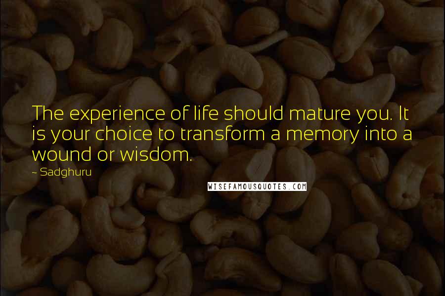 Sadghuru Quotes: The experience of life should mature you. It is your choice to transform a memory into a wound or wisdom.