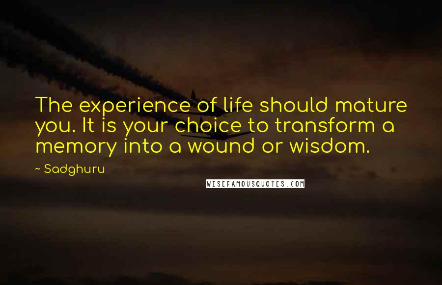 Sadghuru Quotes: The experience of life should mature you. It is your choice to transform a memory into a wound or wisdom.