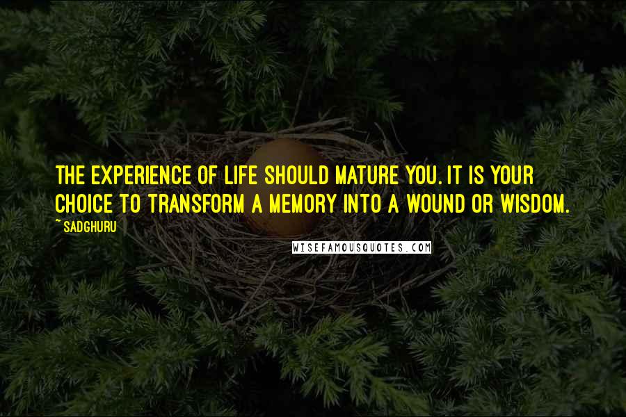 Sadghuru Quotes: The experience of life should mature you. It is your choice to transform a memory into a wound or wisdom.