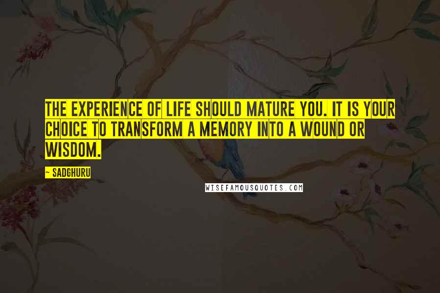 Sadghuru Quotes: The experience of life should mature you. It is your choice to transform a memory into a wound or wisdom.