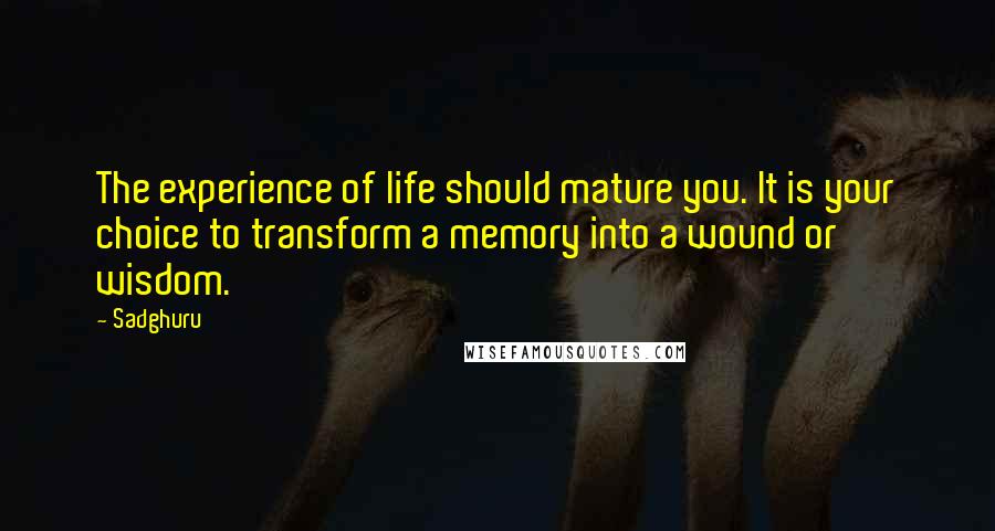 Sadghuru Quotes: The experience of life should mature you. It is your choice to transform a memory into a wound or wisdom.