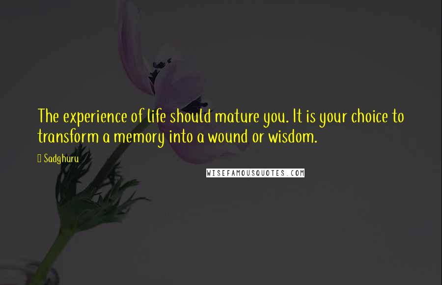 Sadghuru Quotes: The experience of life should mature you. It is your choice to transform a memory into a wound or wisdom.