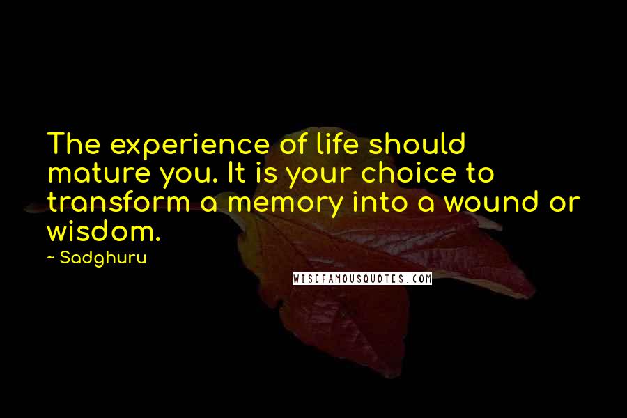 Sadghuru Quotes: The experience of life should mature you. It is your choice to transform a memory into a wound or wisdom.