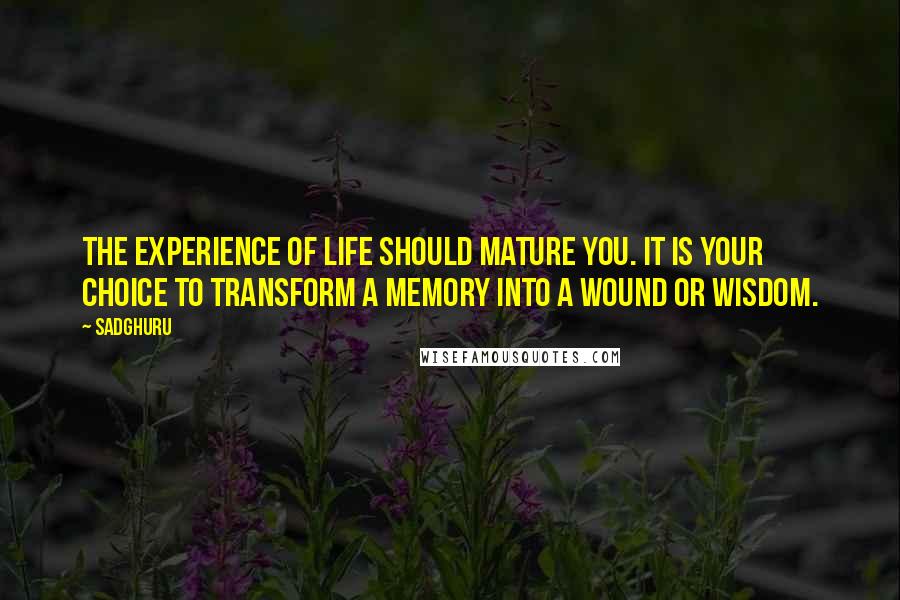 Sadghuru Quotes: The experience of life should mature you. It is your choice to transform a memory into a wound or wisdom.