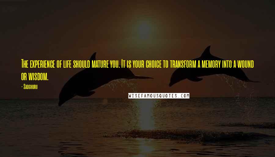 Sadghuru Quotes: The experience of life should mature you. It is your choice to transform a memory into a wound or wisdom.