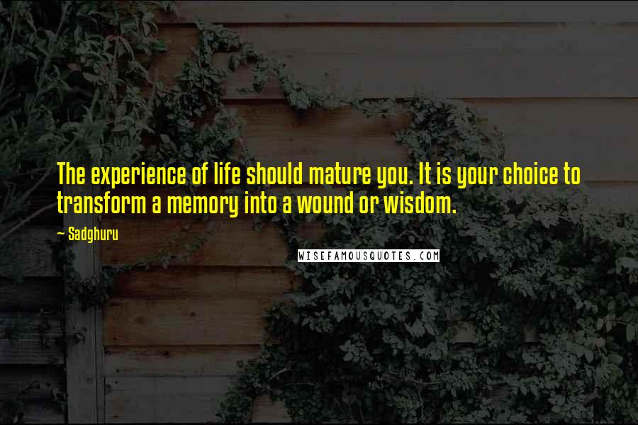 Sadghuru Quotes: The experience of life should mature you. It is your choice to transform a memory into a wound or wisdom.