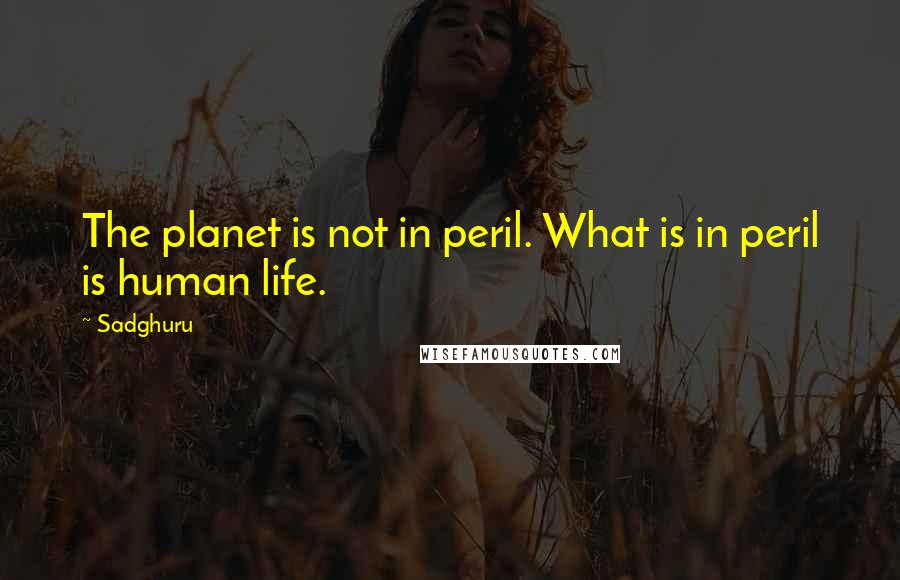 Sadghuru Quotes: The planet is not in peril. What is in peril is human life.