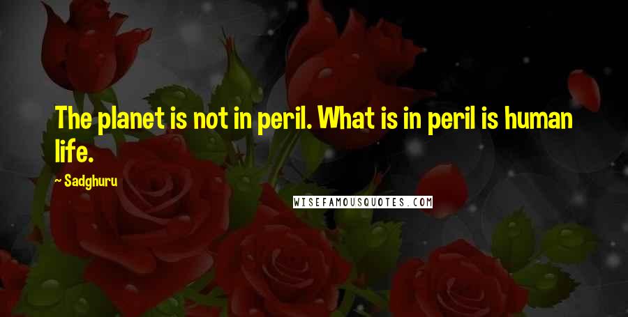 Sadghuru Quotes: The planet is not in peril. What is in peril is human life.