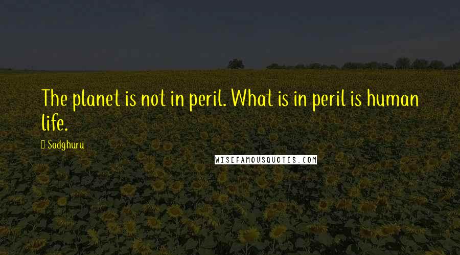 Sadghuru Quotes: The planet is not in peril. What is in peril is human life.