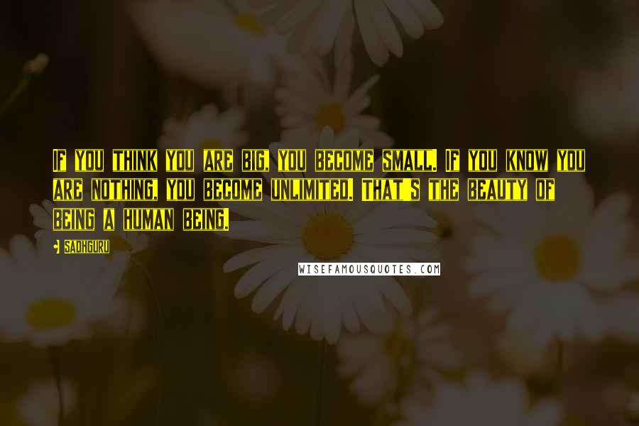 Sadhguru Quotes: If you think you are big, you become small. If you know you are nothing, you become unlimited. That's the beauty of being a human being.