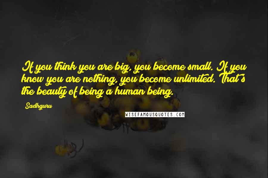 Sadhguru Quotes: If you think you are big, you become small. If you know you are nothing, you become unlimited. That's the beauty of being a human being.