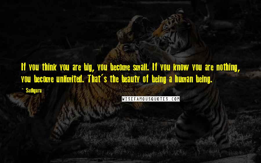 Sadhguru Quotes: If you think you are big, you become small. If you know you are nothing, you become unlimited. That's the beauty of being a human being.