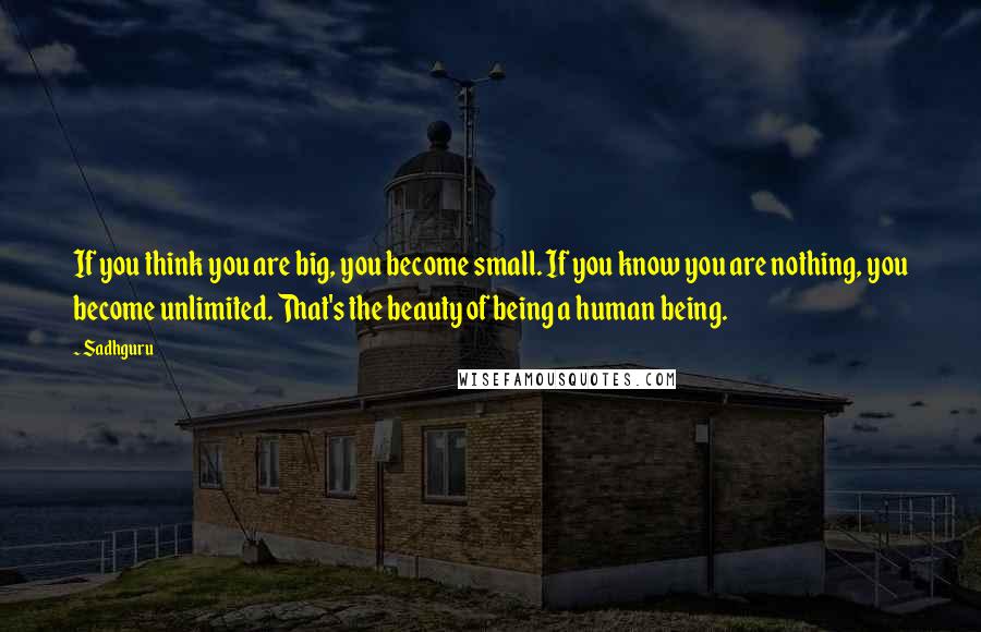 Sadhguru Quotes: If you think you are big, you become small. If you know you are nothing, you become unlimited. That's the beauty of being a human being.