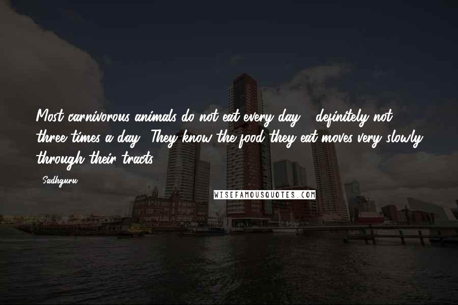 Sadhguru Quotes: Most carnivorous animals do not eat every day - definitely not three times a day! They know the food they eat moves very slowly through their tracts.