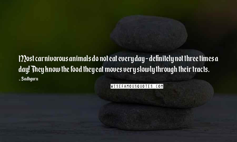 Sadhguru Quotes: Most carnivorous animals do not eat every day - definitely not three times a day! They know the food they eat moves very slowly through their tracts.