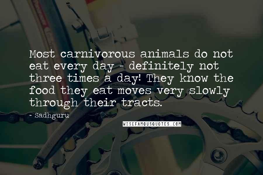 Sadhguru Quotes: Most carnivorous animals do not eat every day - definitely not three times a day! They know the food they eat moves very slowly through their tracts.