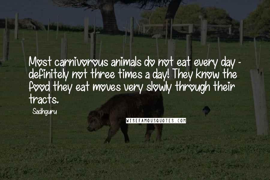 Sadhguru Quotes: Most carnivorous animals do not eat every day - definitely not three times a day! They know the food they eat moves very slowly through their tracts.