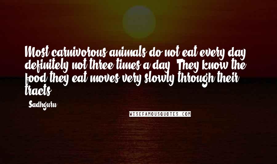 Sadhguru Quotes: Most carnivorous animals do not eat every day - definitely not three times a day! They know the food they eat moves very slowly through their tracts.