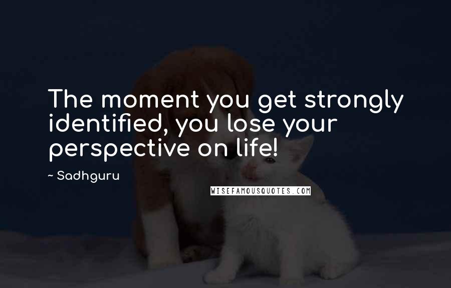 Sadhguru Quotes: The moment you get strongly identified, you lose your perspective on life!