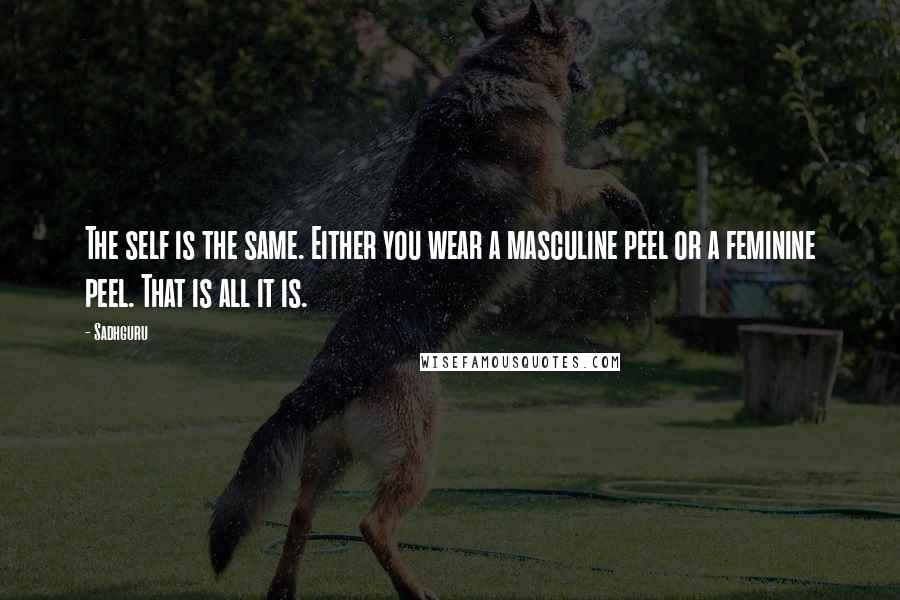 Sadhguru Quotes: The self is the same. Either you wear a masculine peel or a feminine peel. That is all it is.