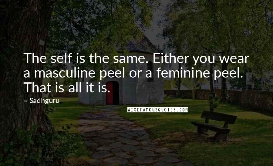 Sadhguru Quotes: The self is the same. Either you wear a masculine peel or a feminine peel. That is all it is.