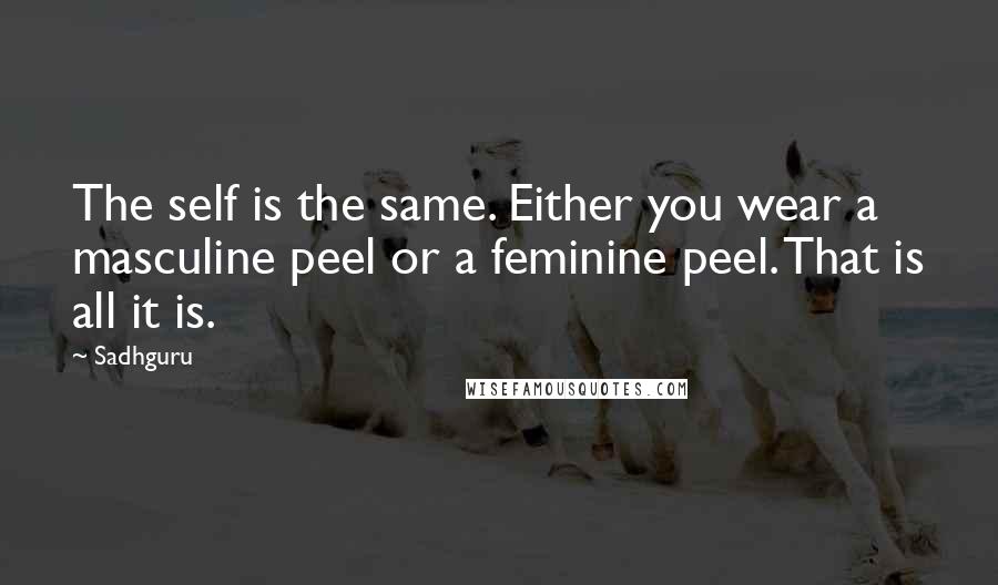 Sadhguru Quotes: The self is the same. Either you wear a masculine peel or a feminine peel. That is all it is.