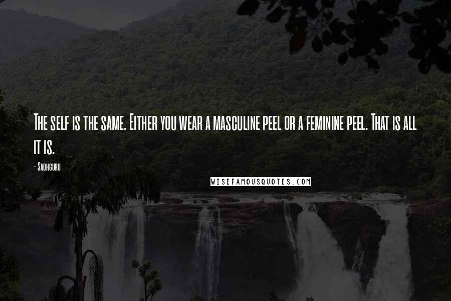 Sadhguru Quotes: The self is the same. Either you wear a masculine peel or a feminine peel. That is all it is.