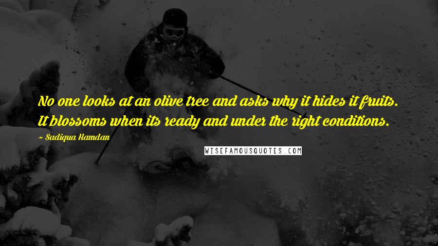 Sadiqua Hamdan Quotes: No one looks at an olive tree and asks why it hides it fruits. It blossoms when its ready and under the right conditions.