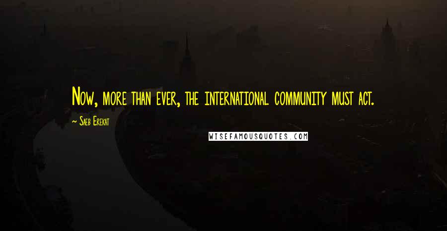 Saeb Erekat Quotes: Now, more than ever, the international community must act.