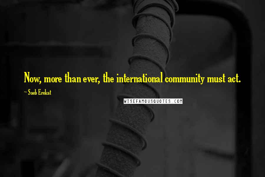 Saeb Erekat Quotes: Now, more than ever, the international community must act.