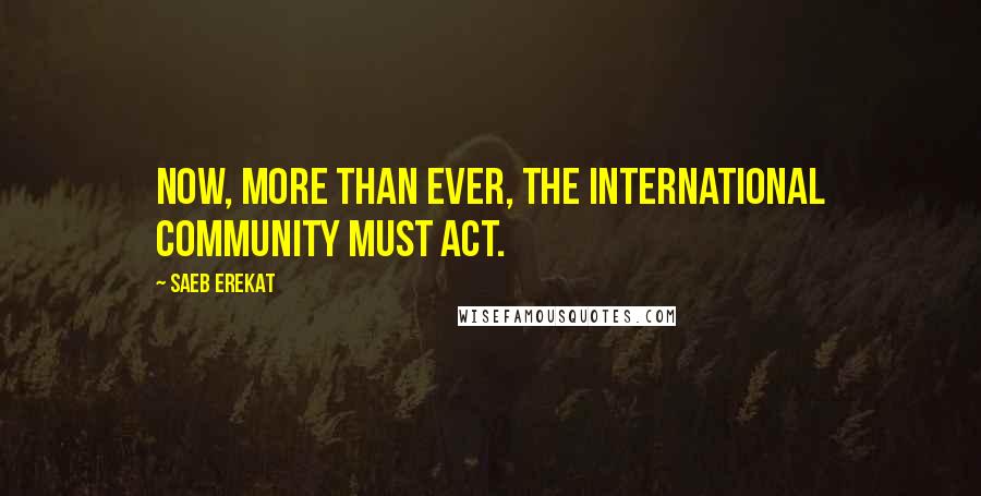 Saeb Erekat Quotes: Now, more than ever, the international community must act.