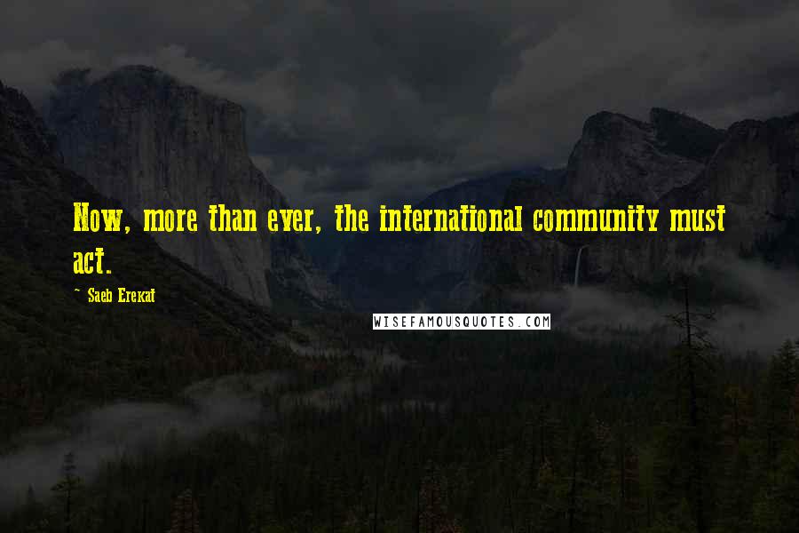 Saeb Erekat Quotes: Now, more than ever, the international community must act.