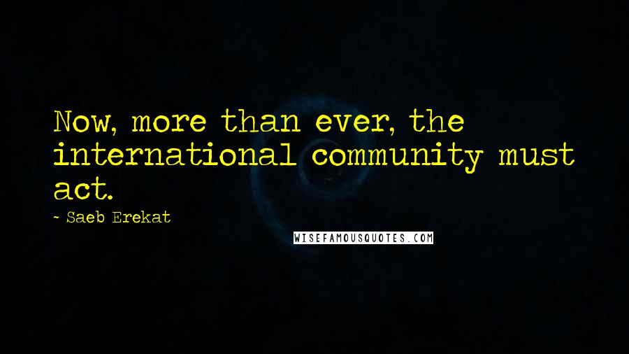 Saeb Erekat Quotes: Now, more than ever, the international community must act.