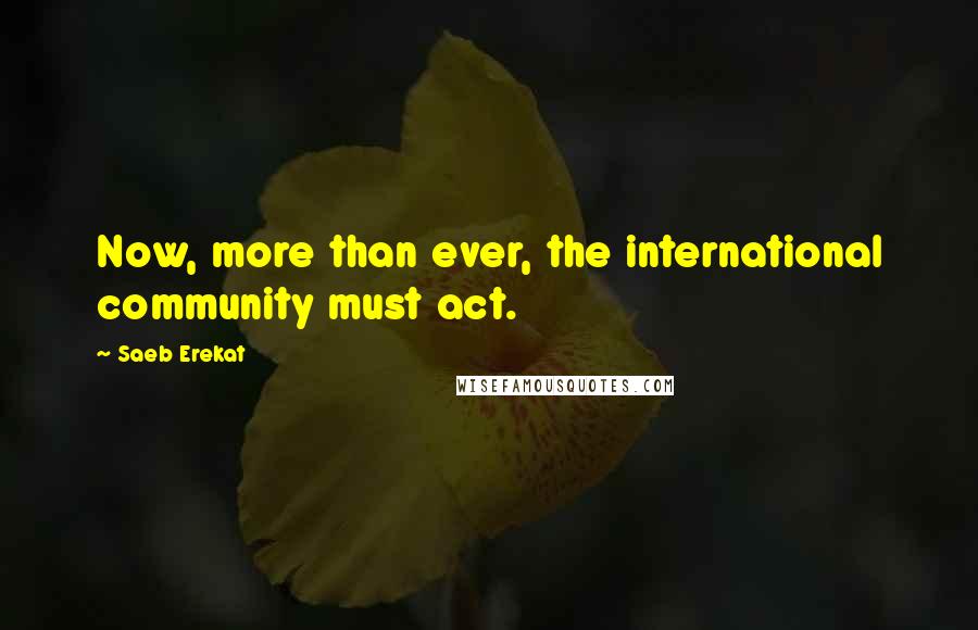Saeb Erekat Quotes: Now, more than ever, the international community must act.