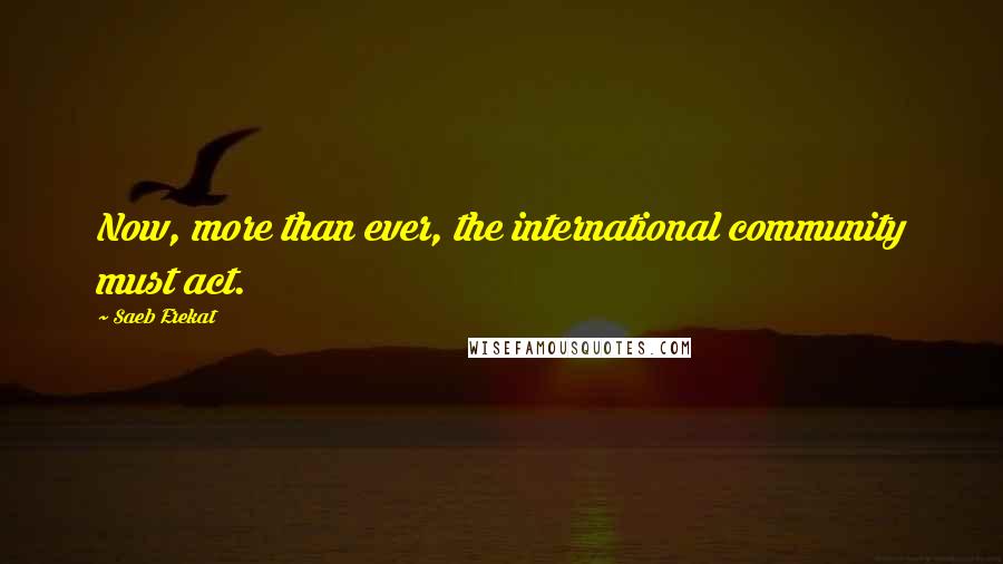 Saeb Erekat Quotes: Now, more than ever, the international community must act.