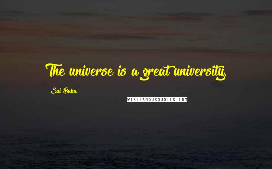 Sai Baba Quotes: The universe is a great university.