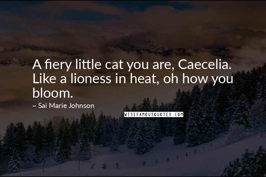 Sai Marie Johnson Quotes: A fiery little cat you are, Caecelia. Like a lioness in heat, oh how you bloom.
