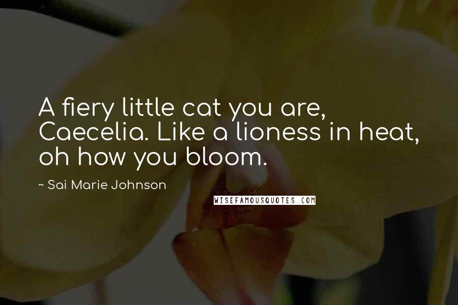 Sai Marie Johnson Quotes: A fiery little cat you are, Caecelia. Like a lioness in heat, oh how you bloom.