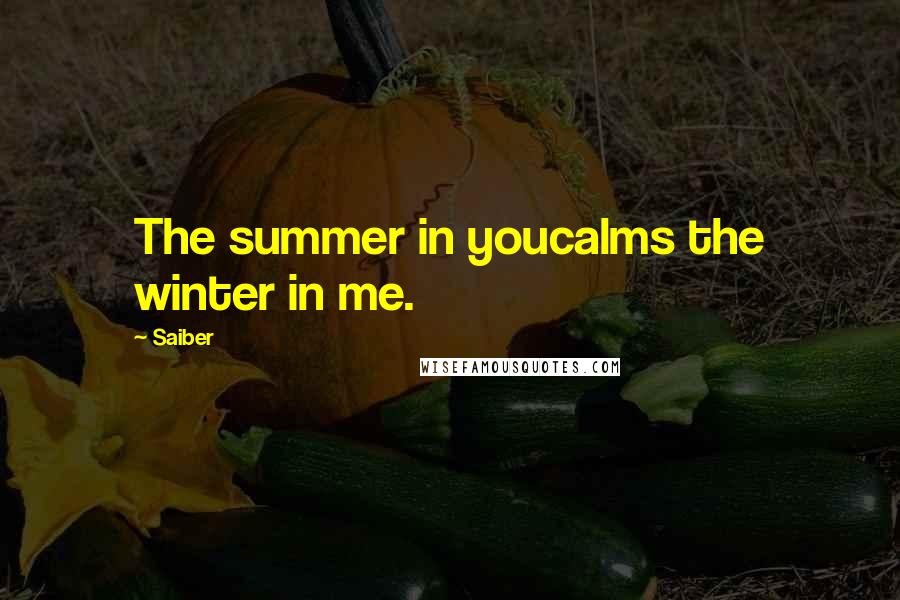 Saiber Quotes: The summer in youcalms the winter in me.