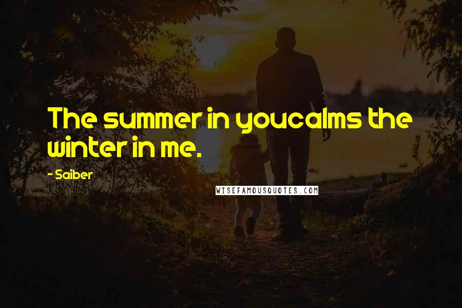 Saiber Quotes: The summer in youcalms the winter in me.