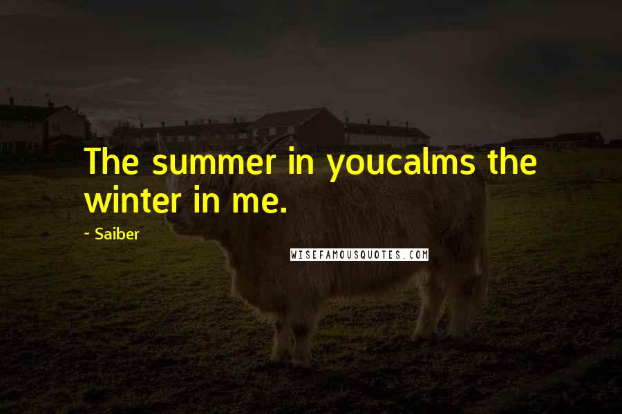 Saiber Quotes: The summer in youcalms the winter in me.