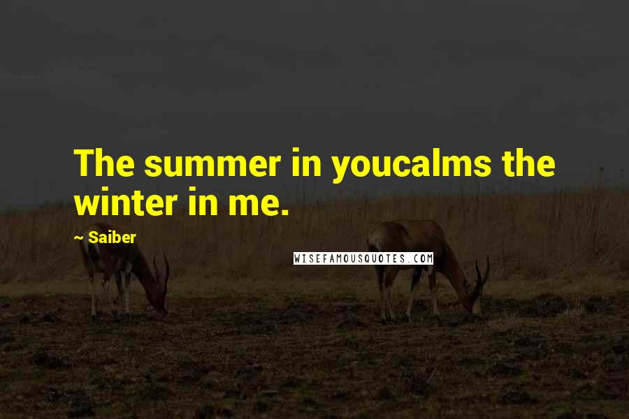 Saiber Quotes: The summer in youcalms the winter in me.