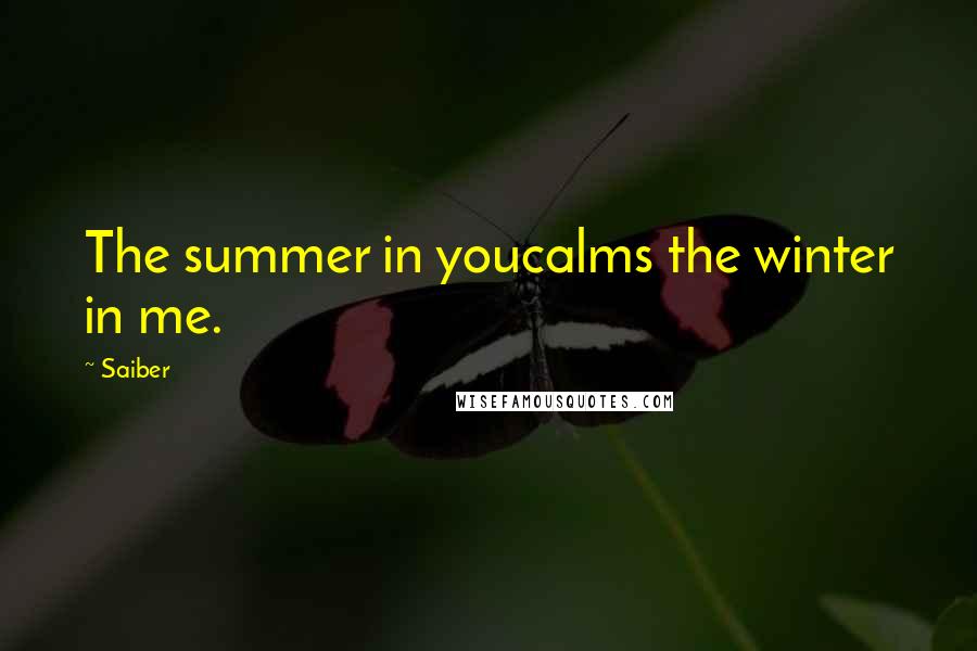 Saiber Quotes: The summer in youcalms the winter in me.